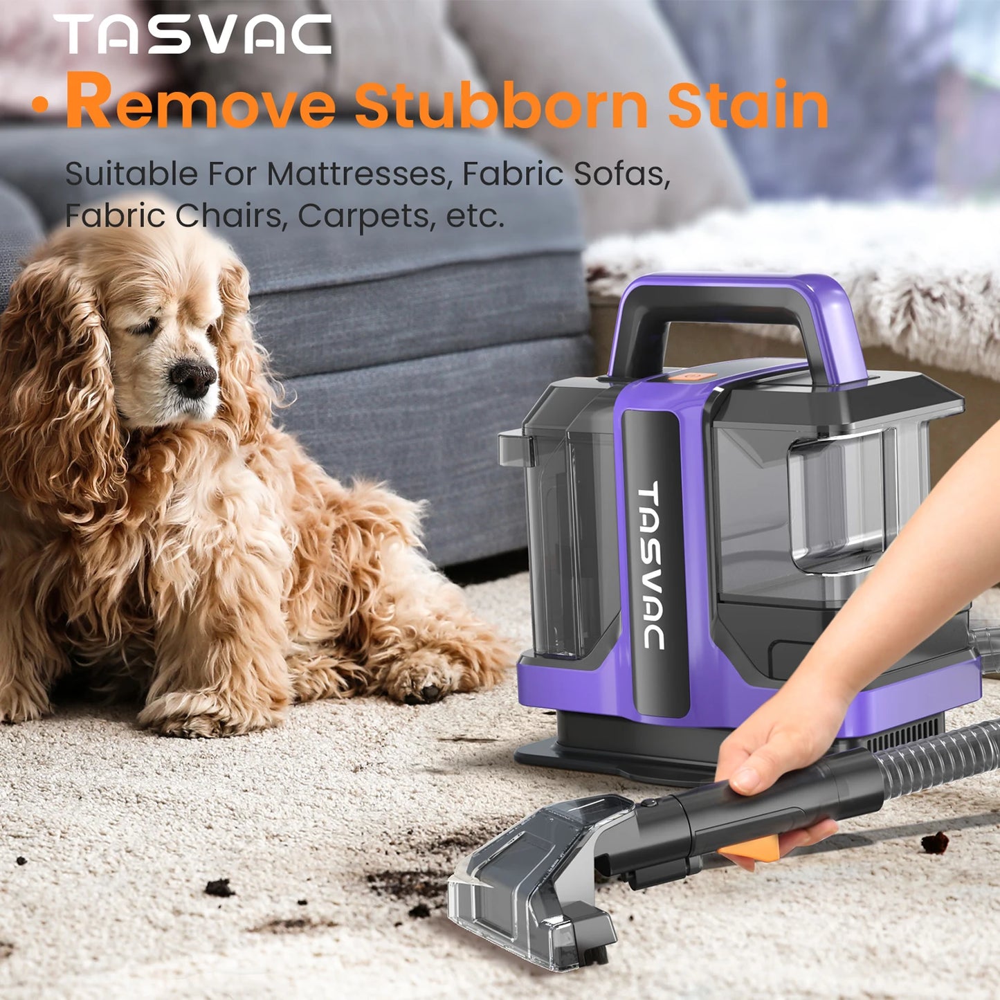 Portable Carpet & Upholstery Cleaner Machine For Pets