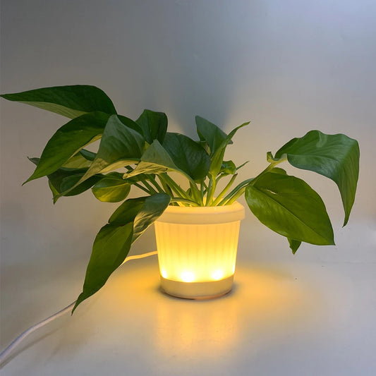 Pot Glowing Flowerpot Home Decor Lamp for Offices Bookshelf Bedroom Living Room Garden Deco and Home Art Decoration