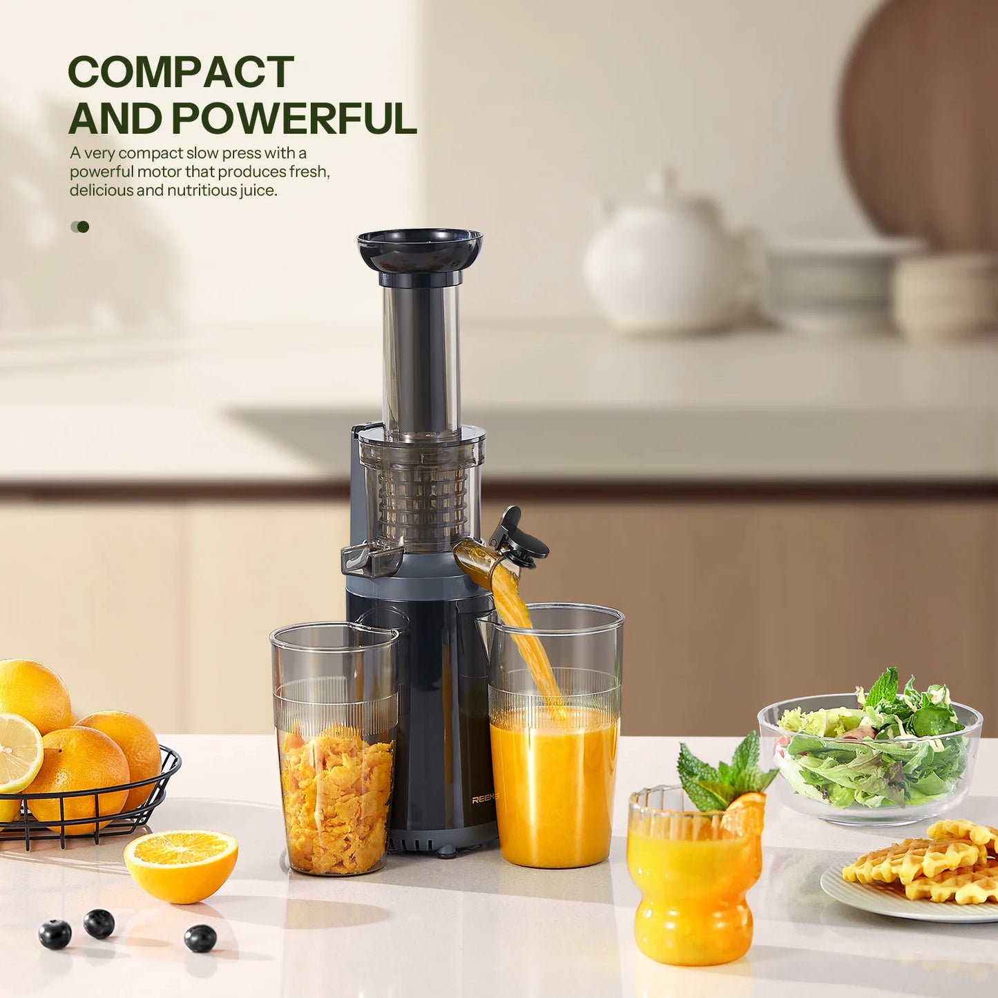 Masticating Juicer Machines,  Cold Press juicer Mixer